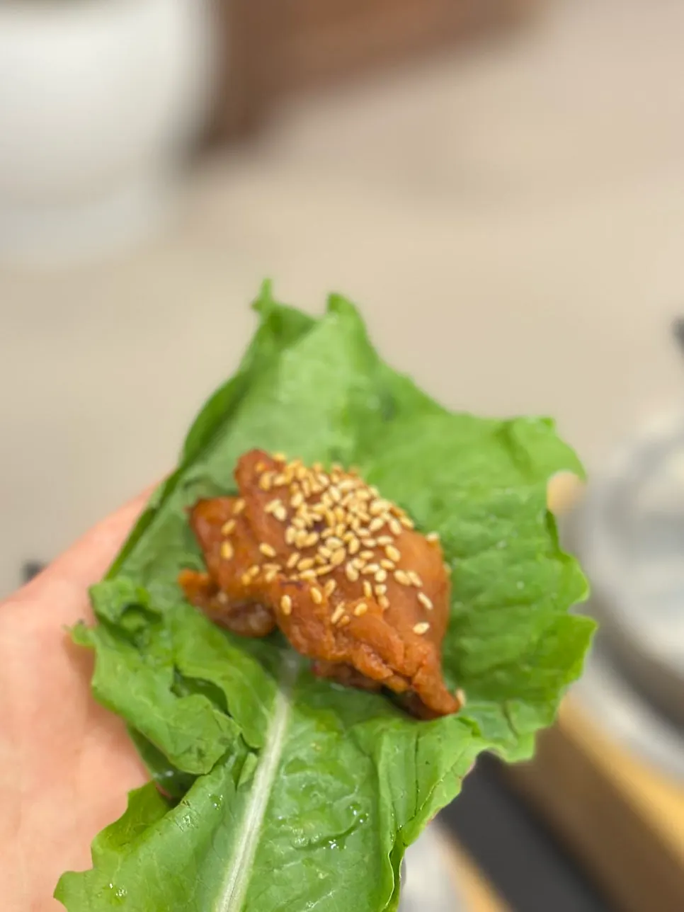 Jeju Badang meal menu spread
