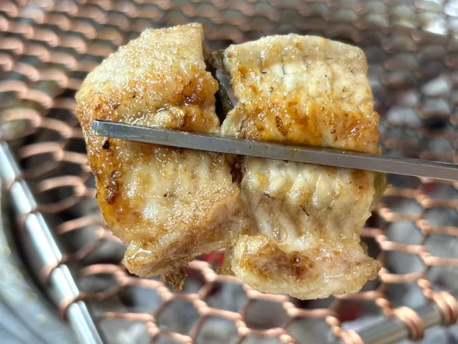 Close-up of a well-grilled piece of eel