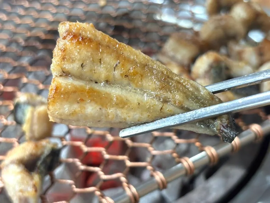 Cross-section of chewy grilled eel