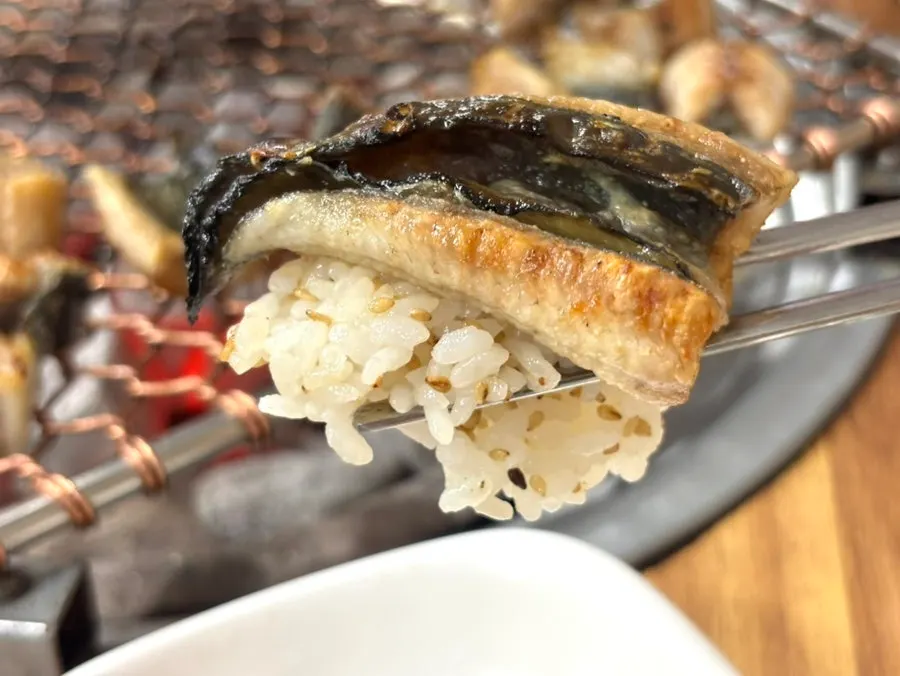 Grilled eel piled on top of sushi rice