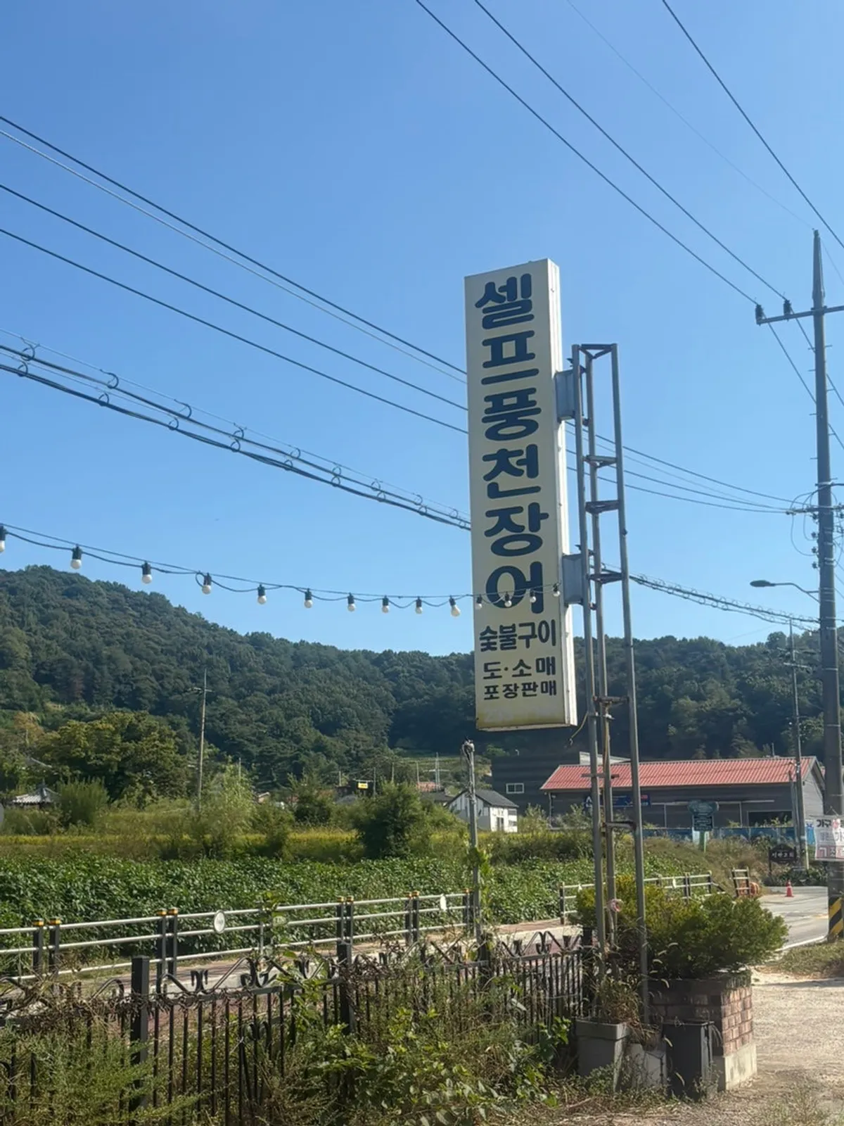 Table spread of grilled eel at Samhwa Susan in Cheongju