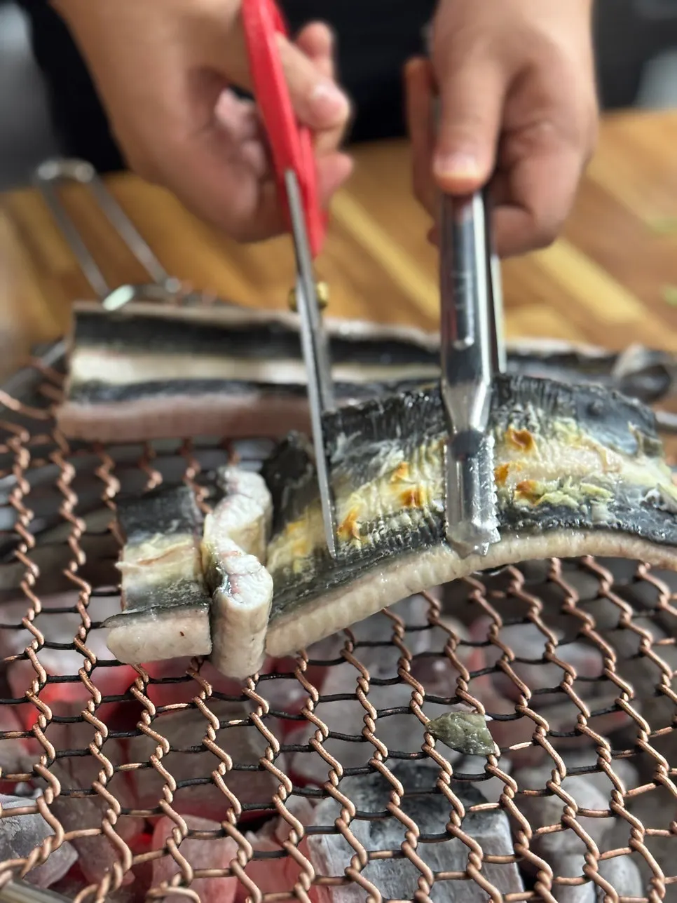 숯불 위에 올려진 풍천장어