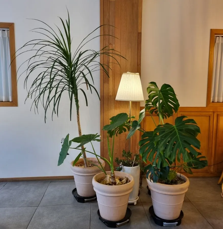 沒有客人的下雨週末午後店內