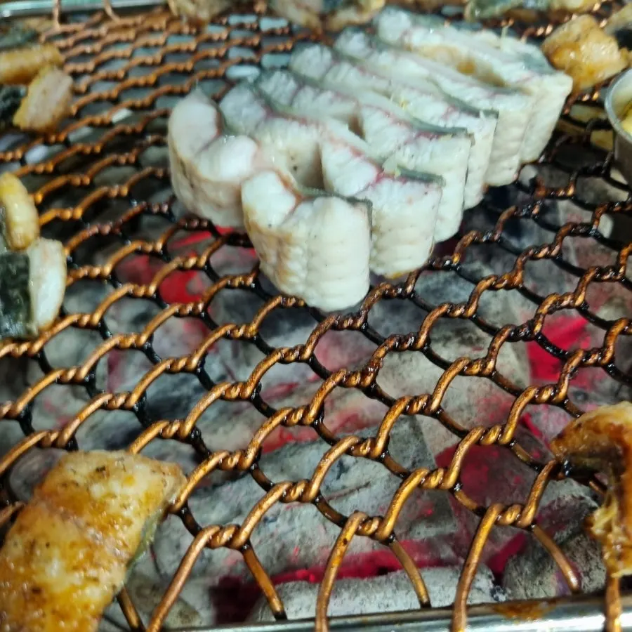 A thick piece of grilled eel