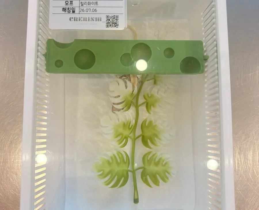 가족으로 결정한 릴리화이트 크레스티드게코