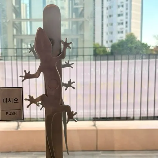 처음 크레스티드게코를 키우며 둘러본 장면