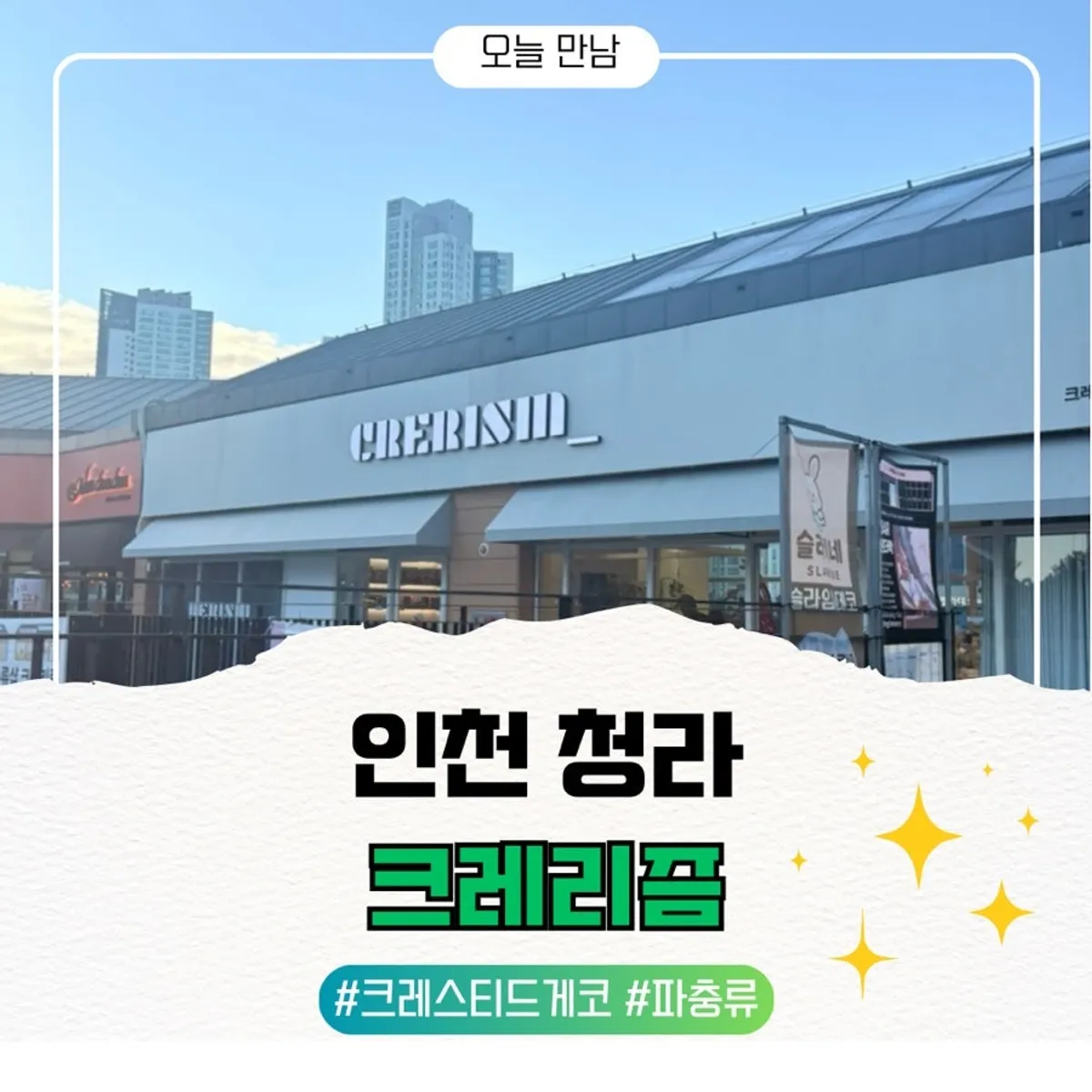 크레리즘 인천청라점에서 만난 크레스티드게코