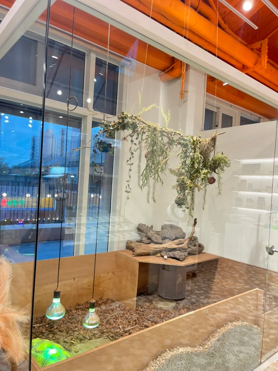 An adoptable individual at Crerism Incheon Cheongna Branch