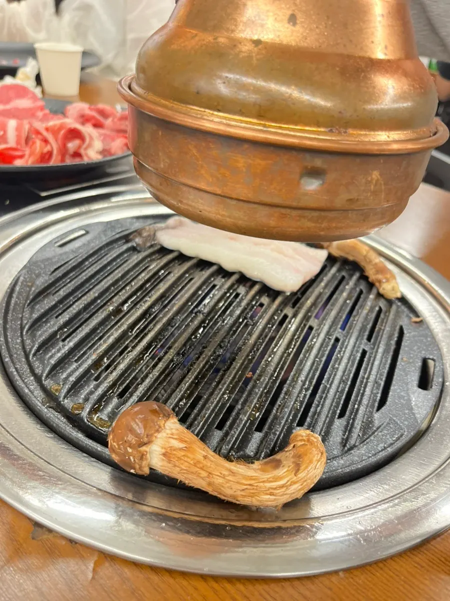 A grilled piece of eel dipped in sauce
