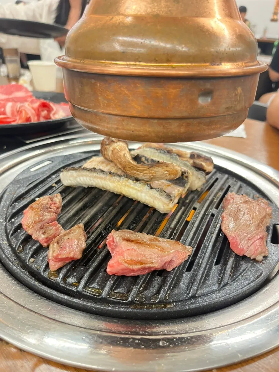 Close-up of juicy grilled meat
