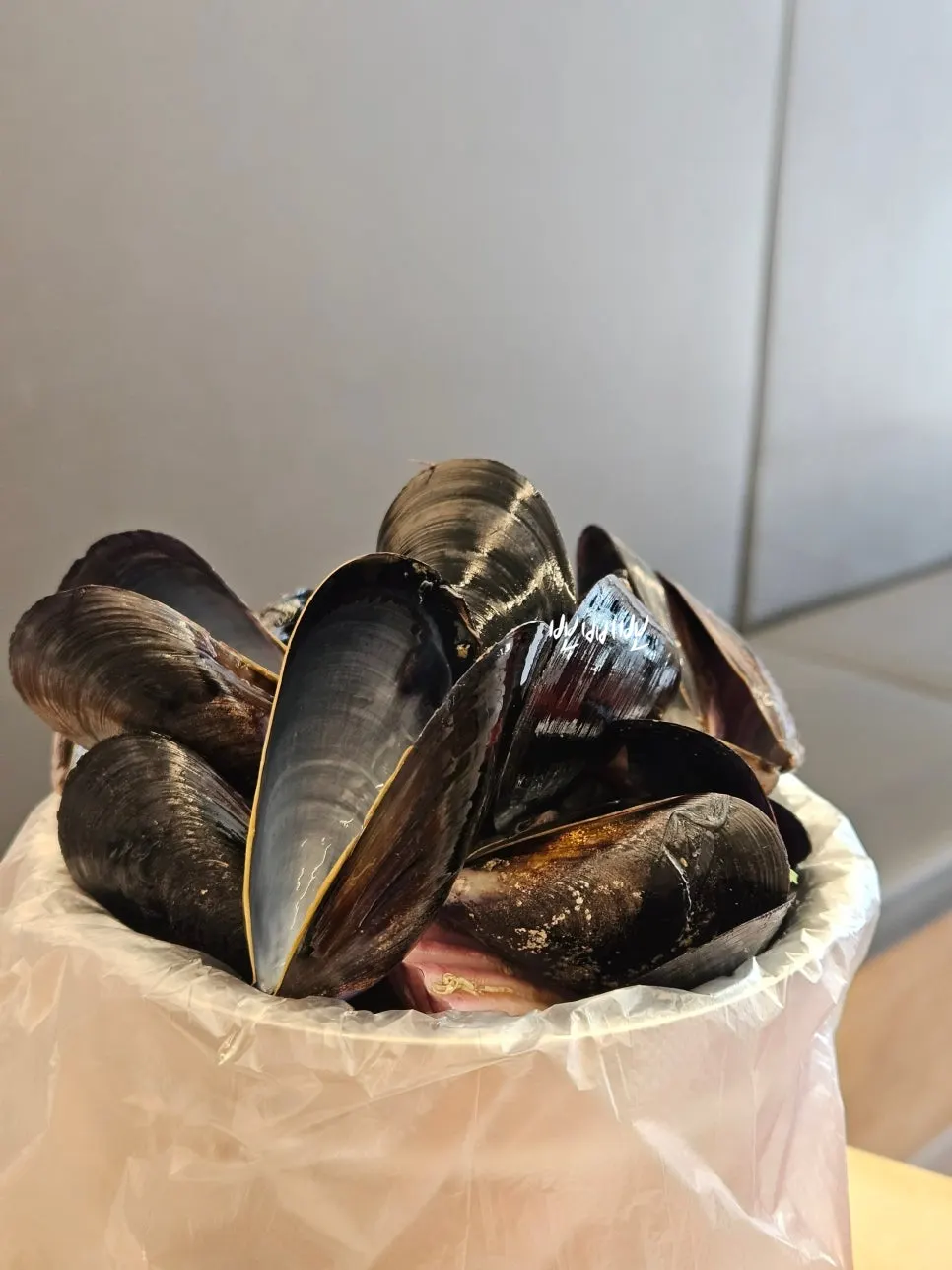 Plump seafood in the seafood hand-cut noodle soup