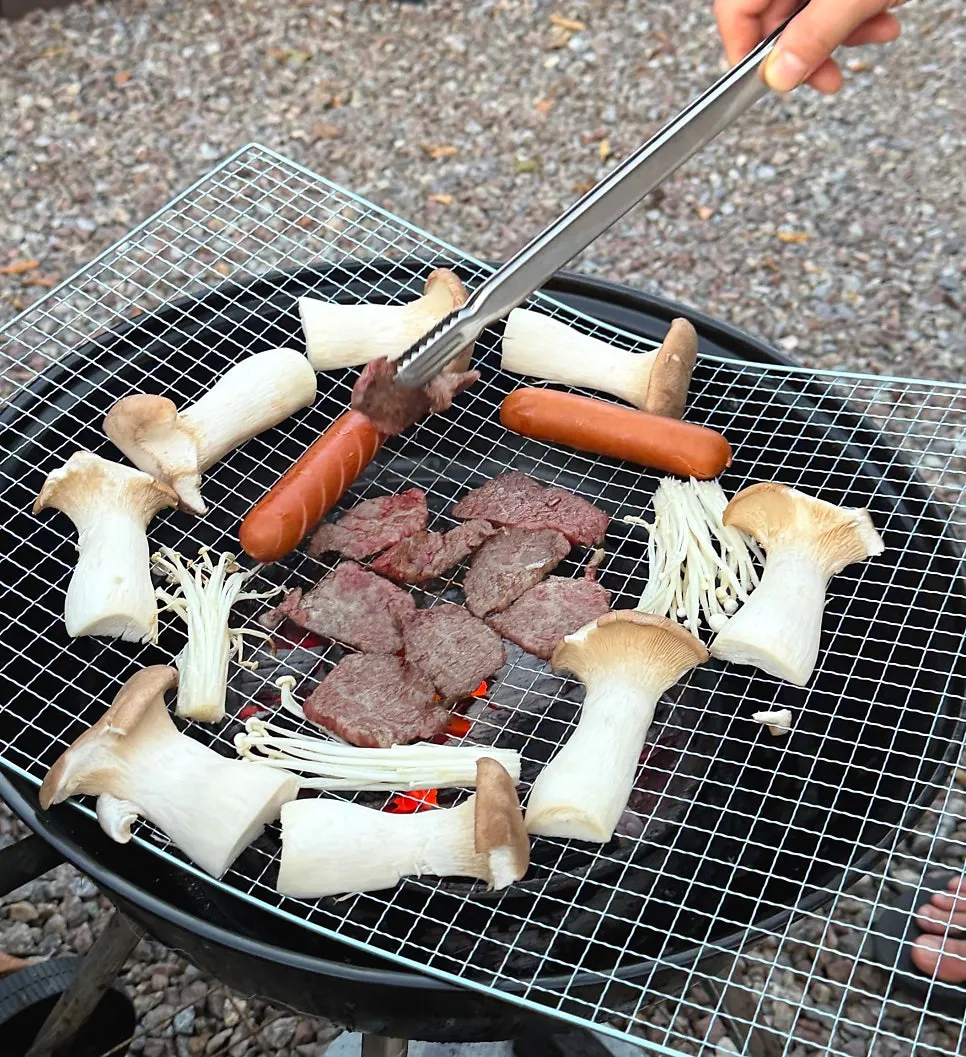 Meat placed on the caravan charcoal grill