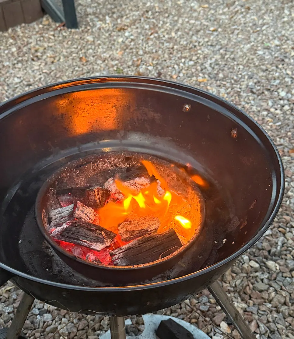 Baekpo galbi and vegetables on the grill