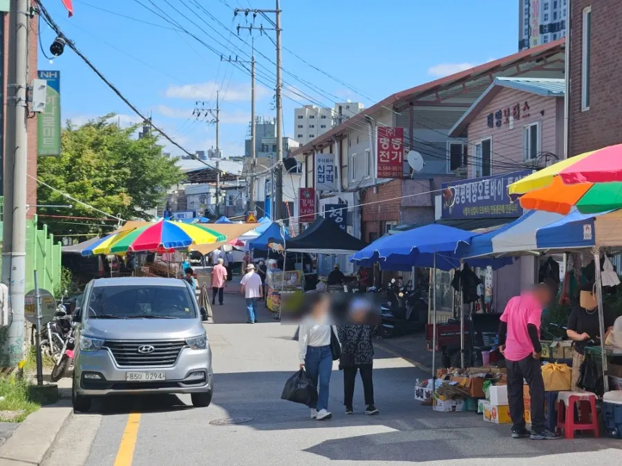 Around Cheongpyeong Traditional Market