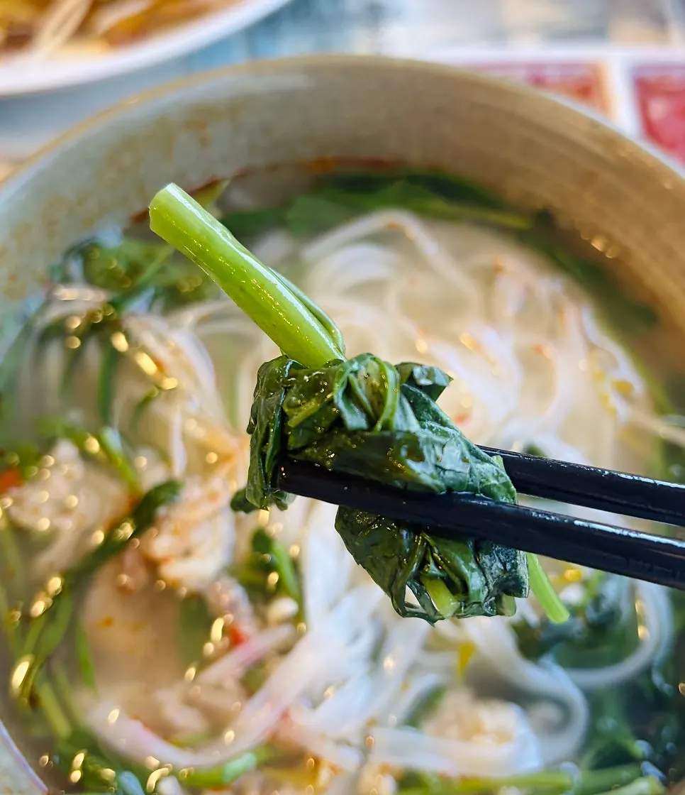 Morning glory pho topped with cilantro