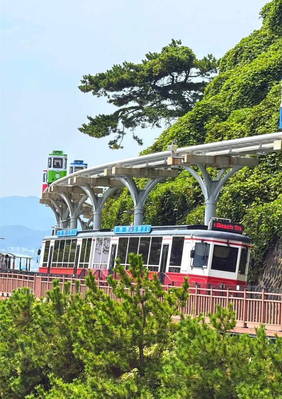 청사포 해안 산책로와 바다 전경