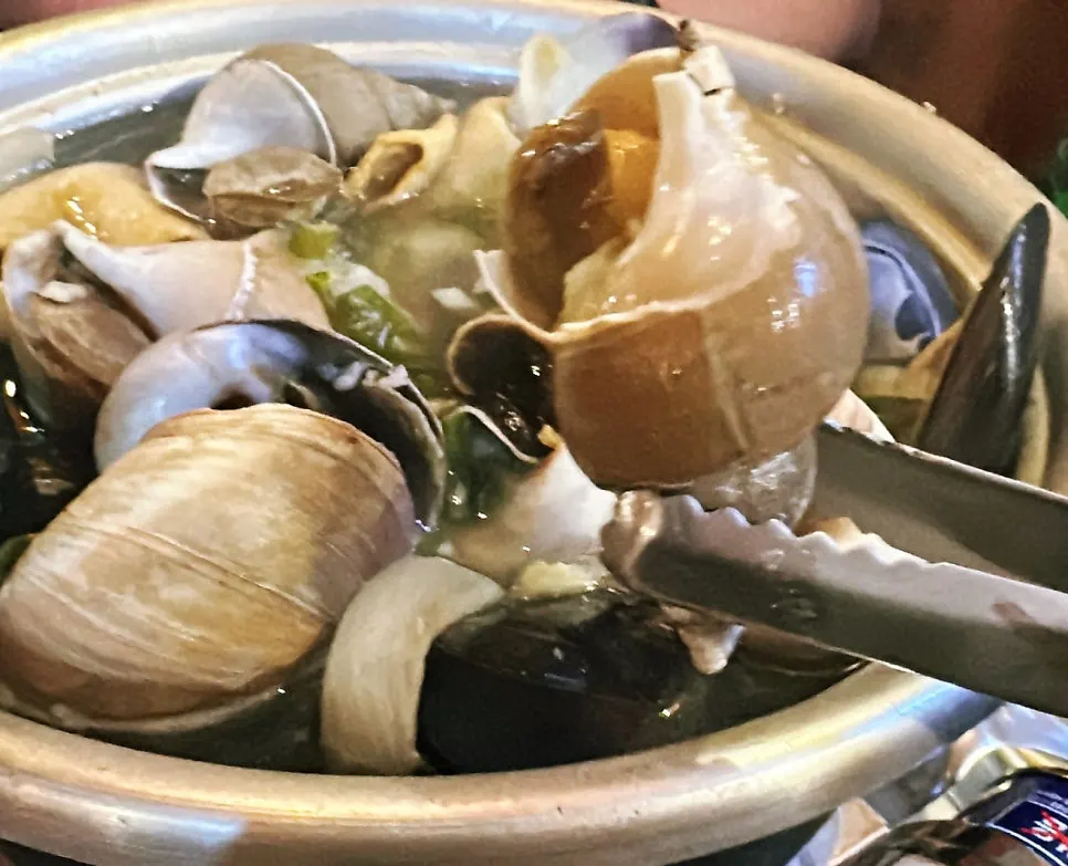 A bite of chewy white whelk