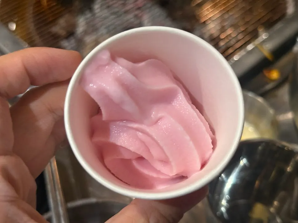 Strawberry ice cream served to finish the meal