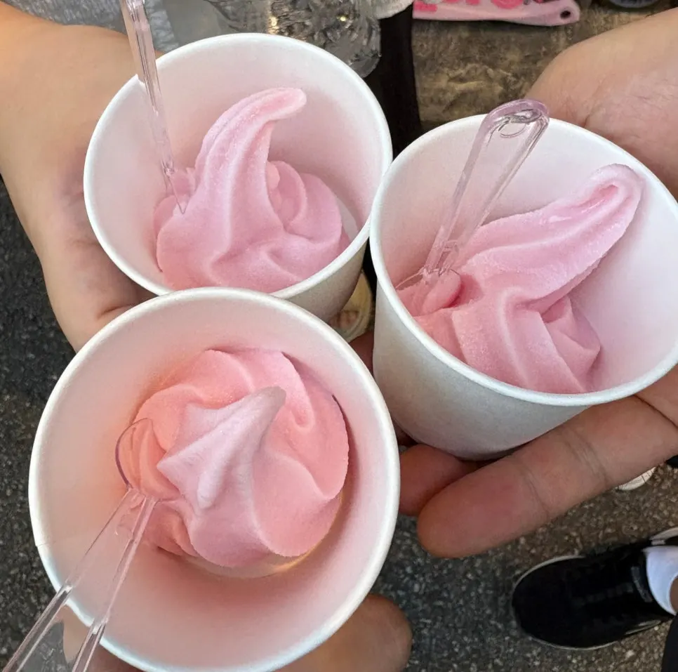 Strawberry ice cream served for dessert
