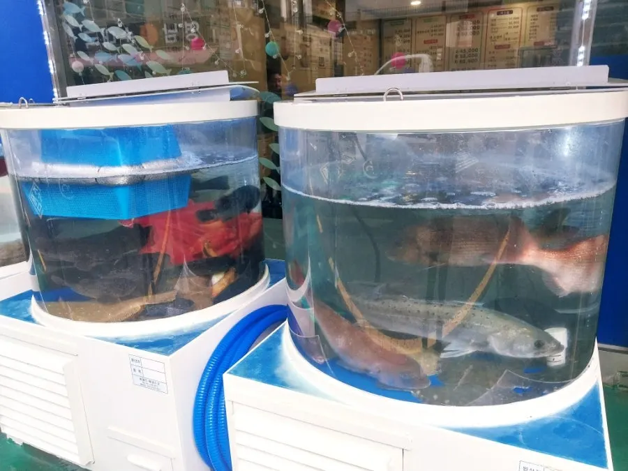 도원수산 앞 신선한 횟감 수조