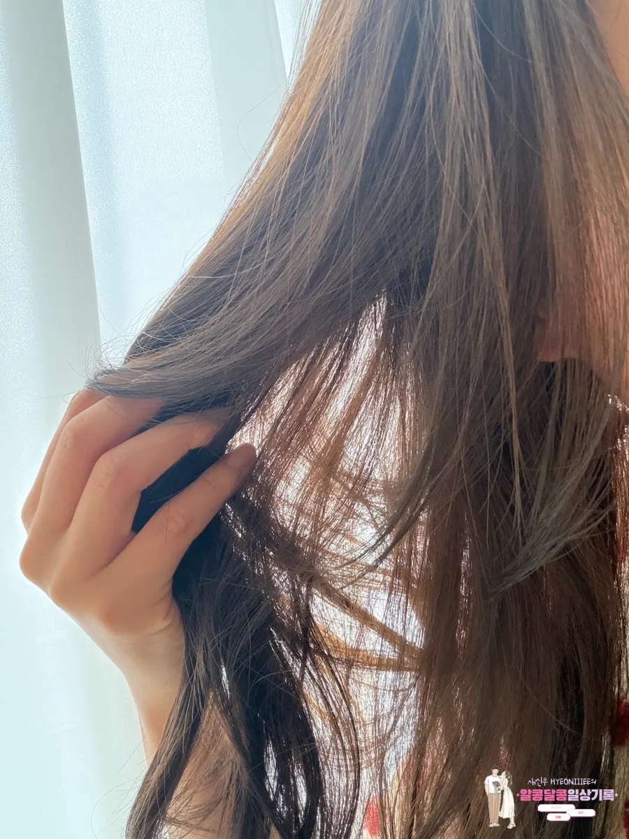Hair showing brown tones in bright light
