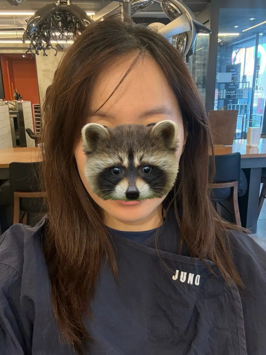 Hair condition before the color and layered cut