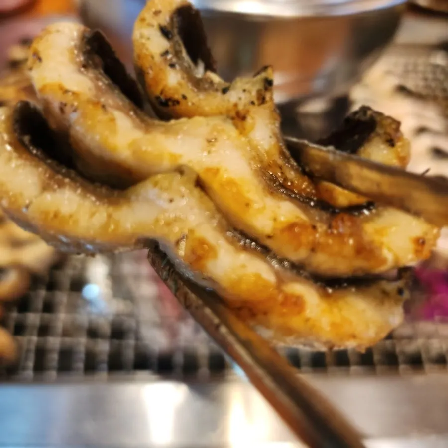 Finished golden-brown grilled freshwater eel