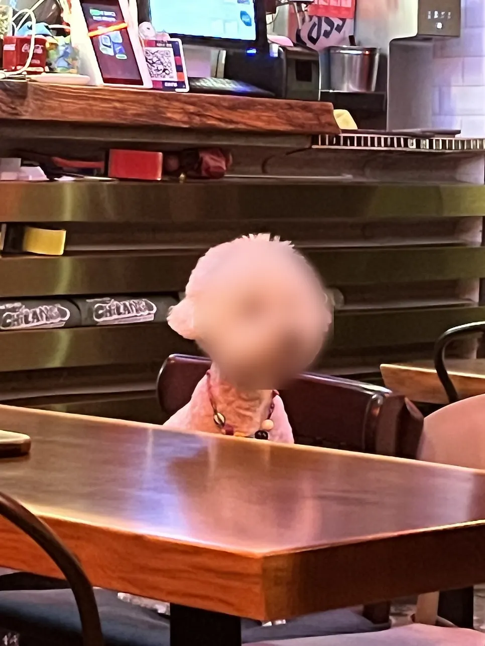 칠랑고 선릉본점 테이블 자리 분위기