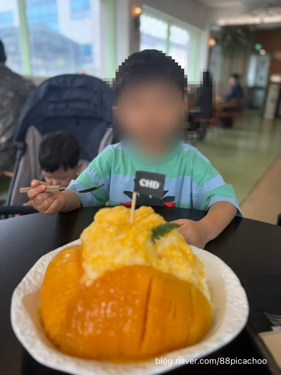 100% 우유로 만든 차일디쉬 망고빙수