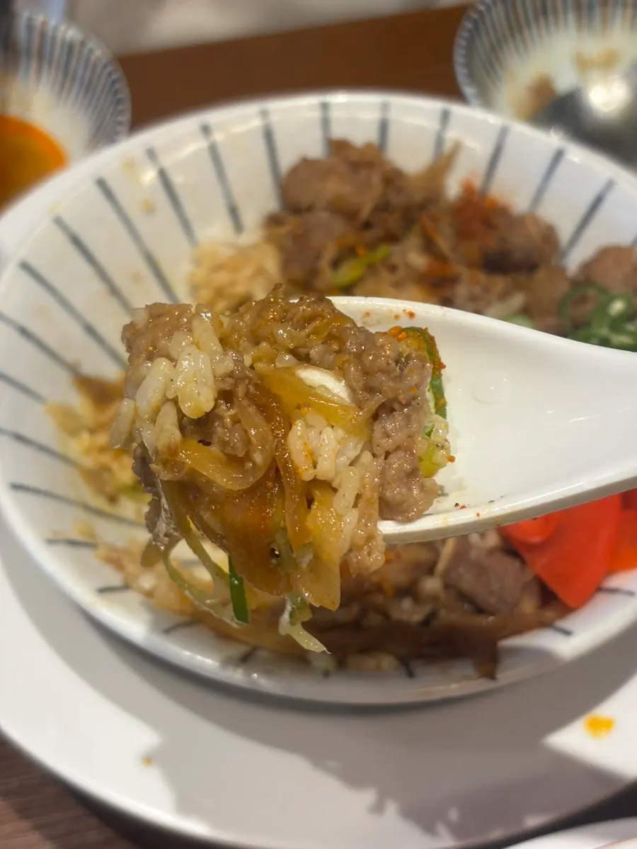 Gyudon with plenty of meat and rice