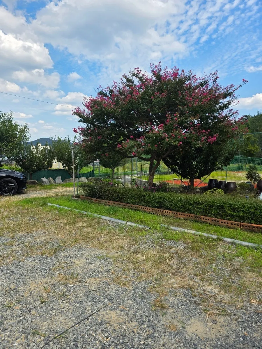 Exterior of Yaksamgol Garden in Yakmok, Chilgok