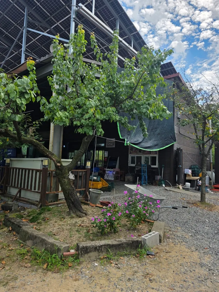 Entrance and signage of Yaksamgol Garden