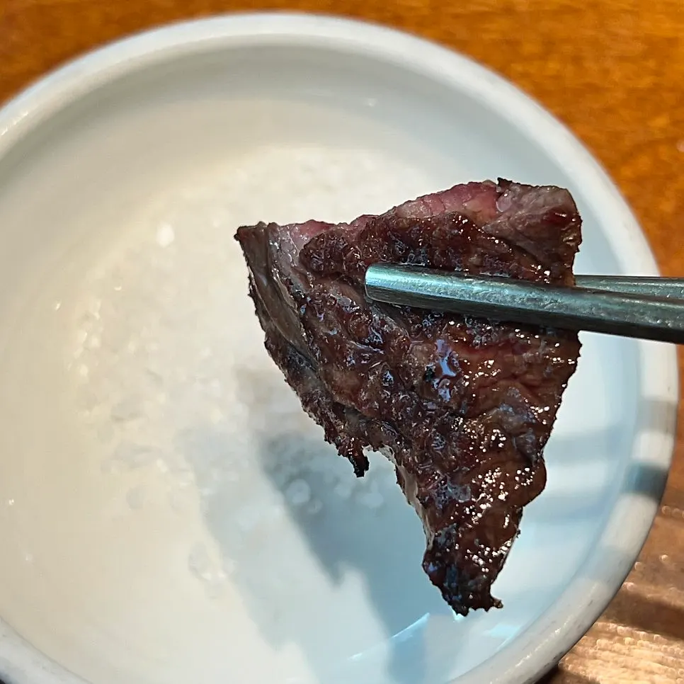 A single grilled piece of skirt steak