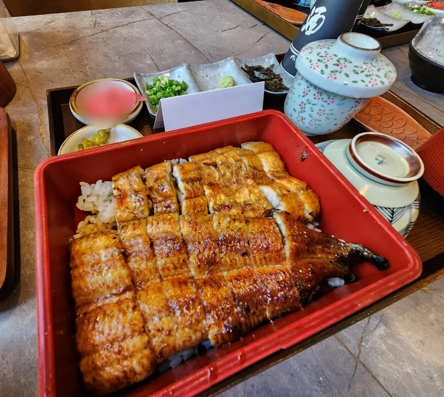 Eel packed edge to edge on the hitsumabushi