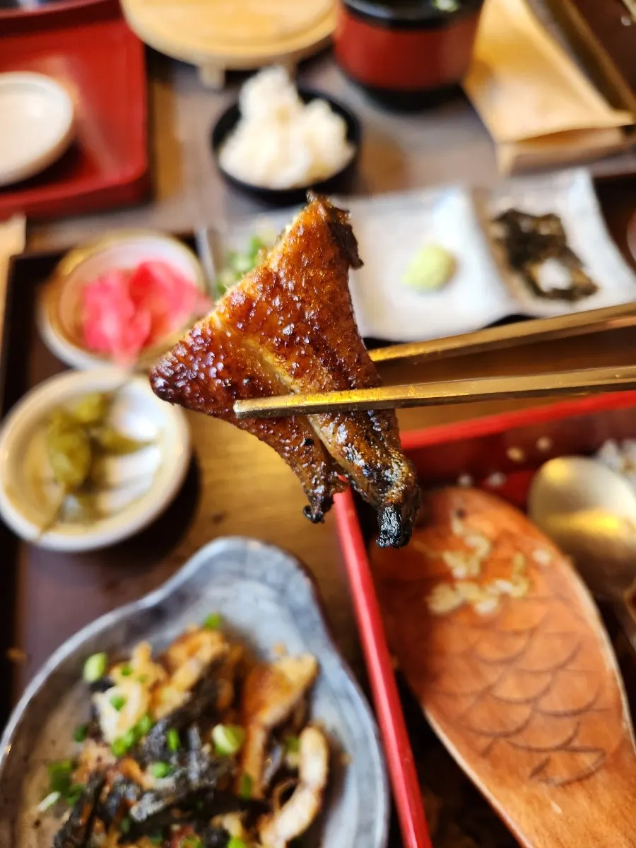 Close-up of a thick piece of grilled eel
