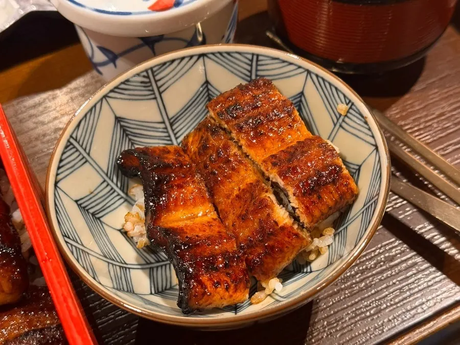 Close-up of eel rice bowl brushed with tare sauce