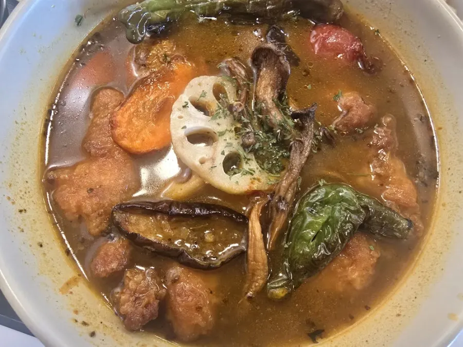 Soup curry with chicken, carrot, eggplant and lotus root