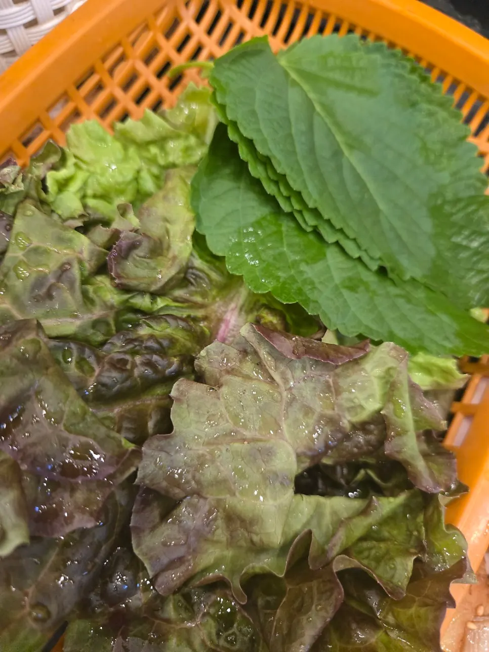 나물 반찬과 쌈 야채 상차림