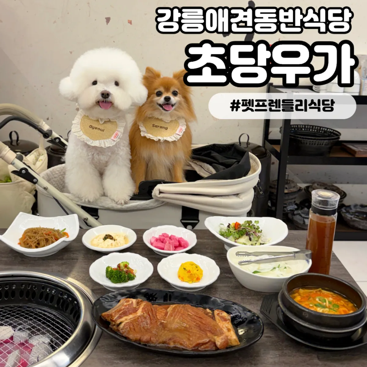 강릉 초당우가 애견동반 갈비 맛집 대표 이미지