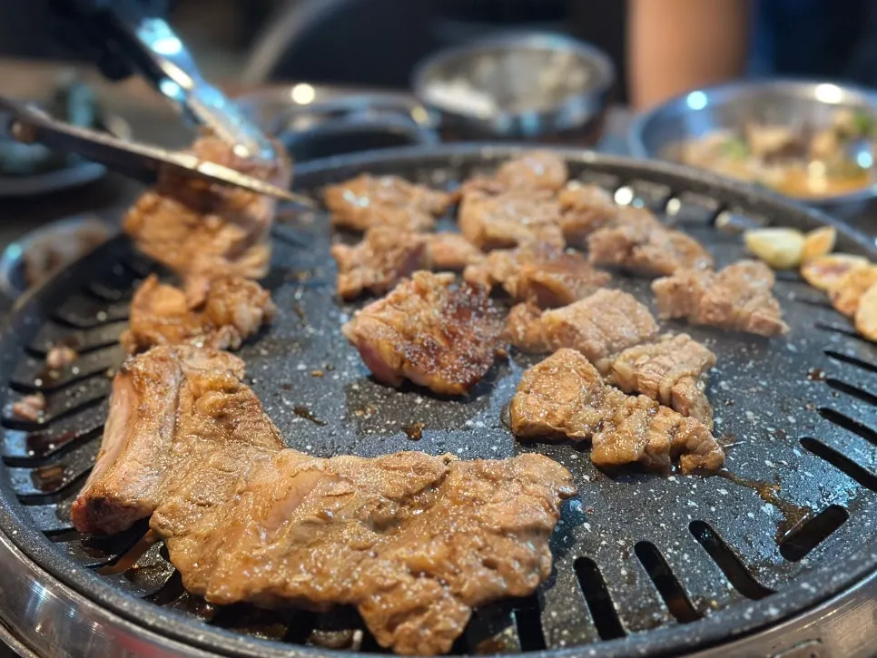 A plate of 2 servings of seasoned pork ribs