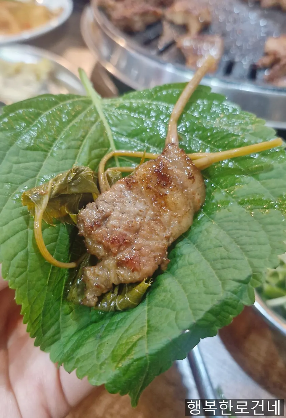 A piece of marinated rib with scallion salad and lettuce wrap