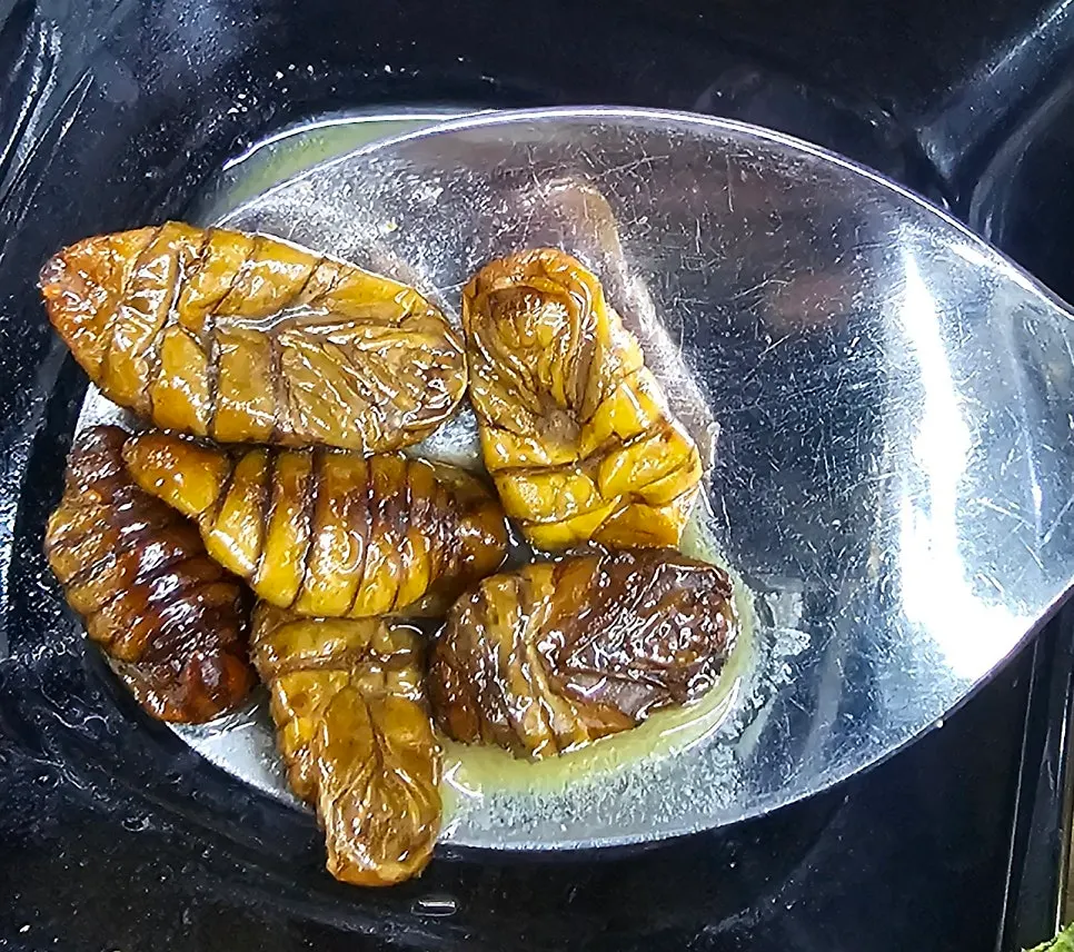Refilled silkworm pupae side dish