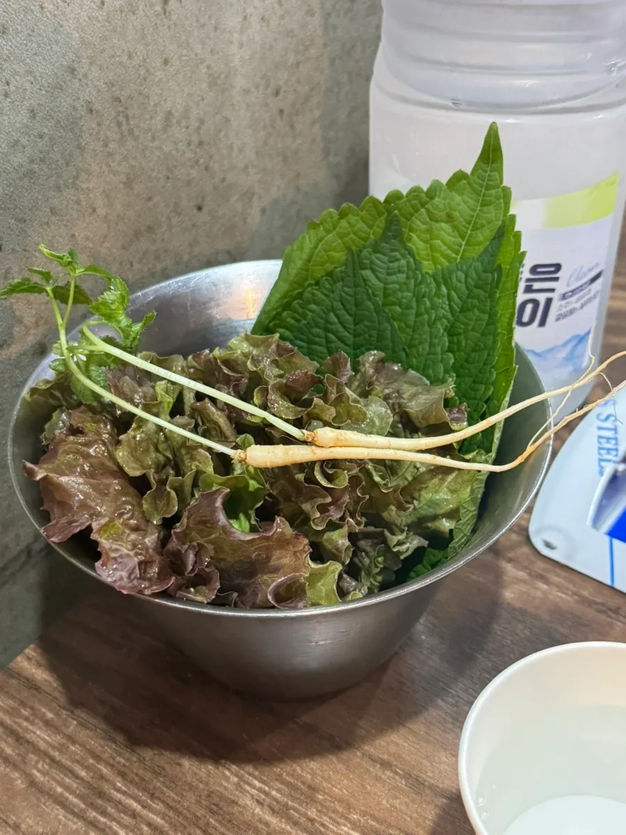 Wild ginseng served with lettuce for wraps