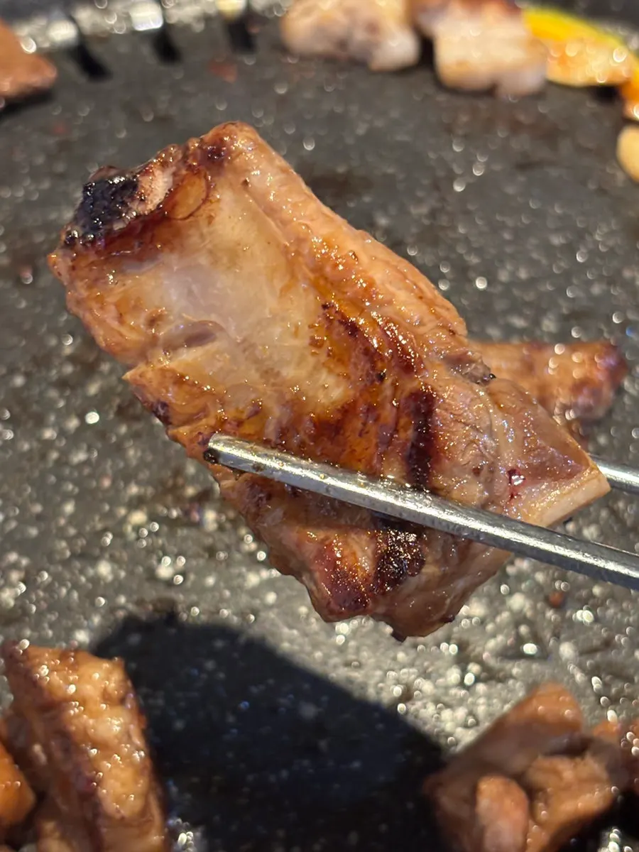 Rib bone soaked in marinade