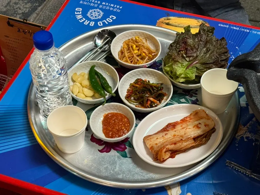 Standard side dishes of napa cabbage kimchi and green onion kimchi