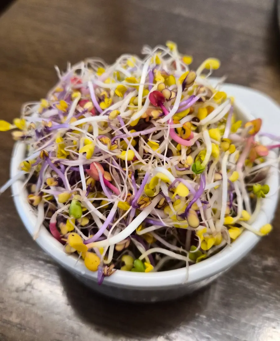 Soy sauce makguksu topped generously with sprouts