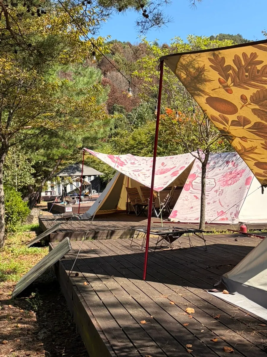 The convenient path between the campsite and playground