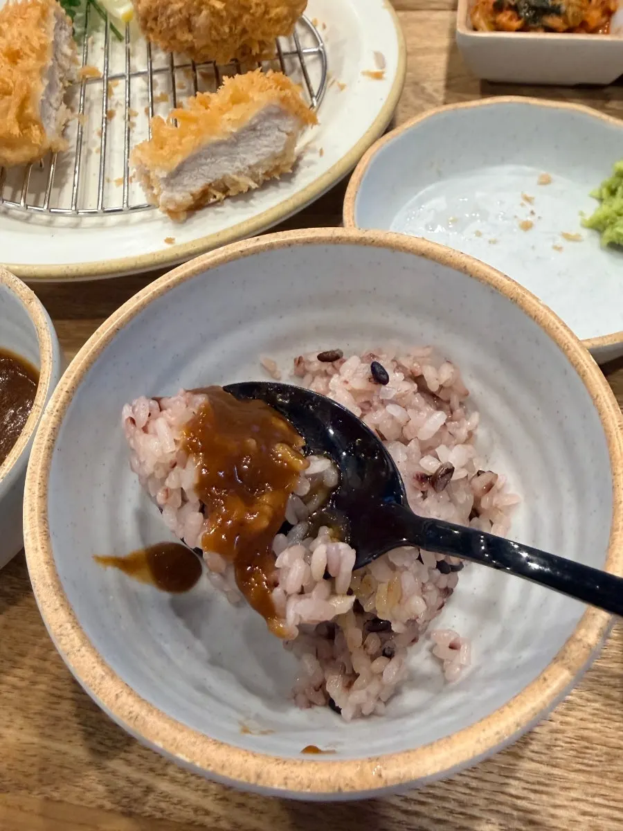 Tonkatsu served with wasabi and salt