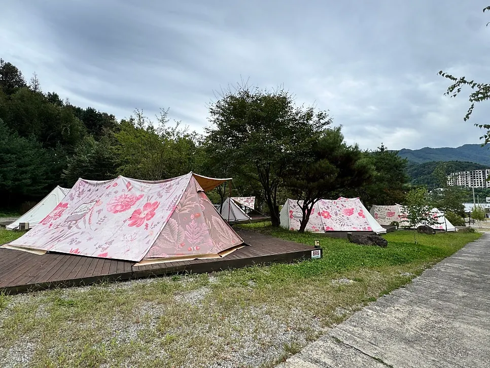 View of an aesthetic glamping site