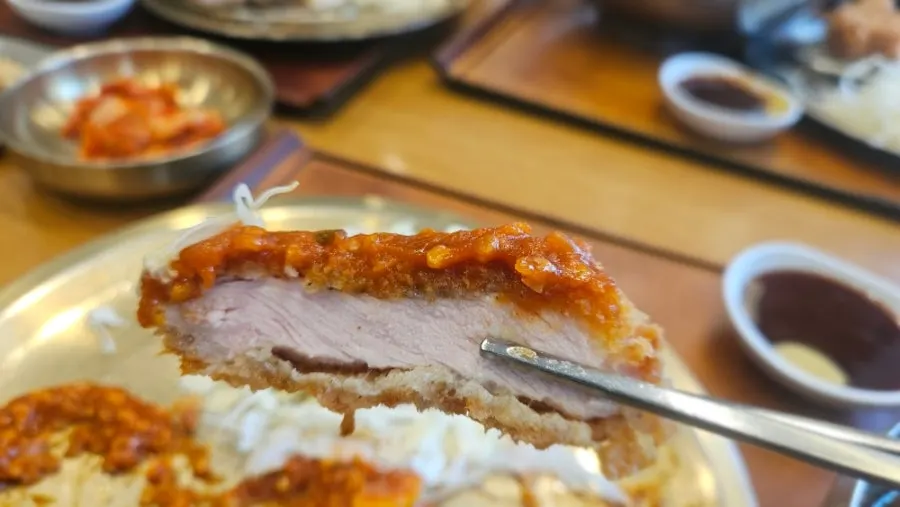 Empty pork cutlet plate with leftover sauce